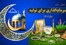 سرمایه گذاری برای تولید